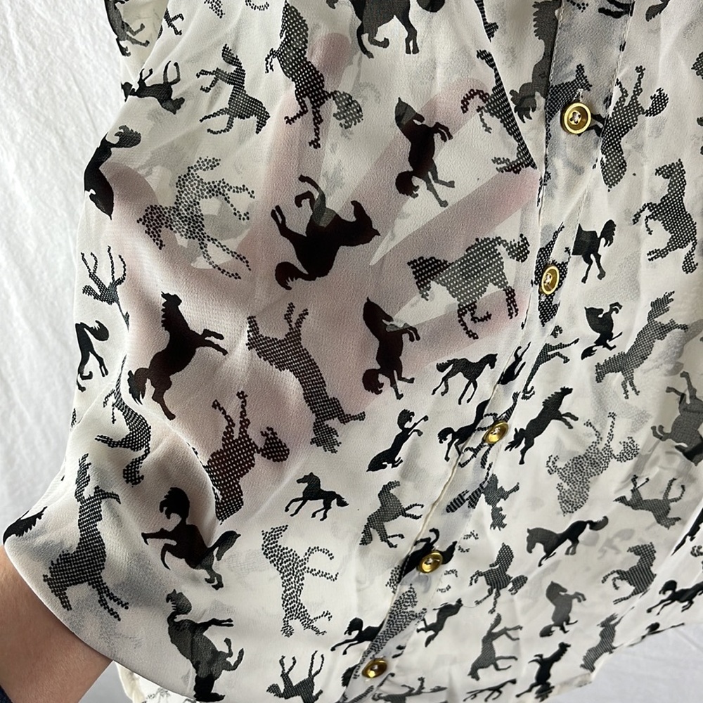 Paper Moon Sheer/Chiffon Blouse Size XS - Picture 4 of 4